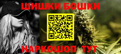 молекула духа Будённовск