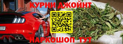 молекула духа Будённовск