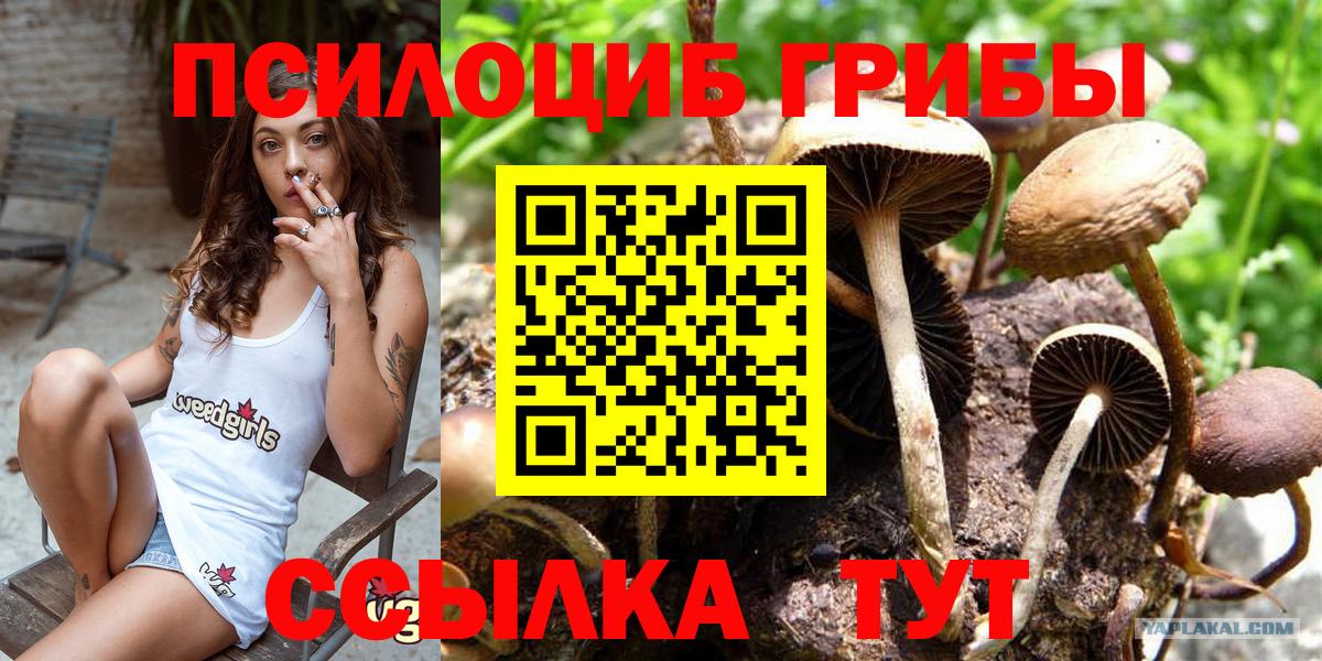 ГАШИШ Приморско-Ахтарск