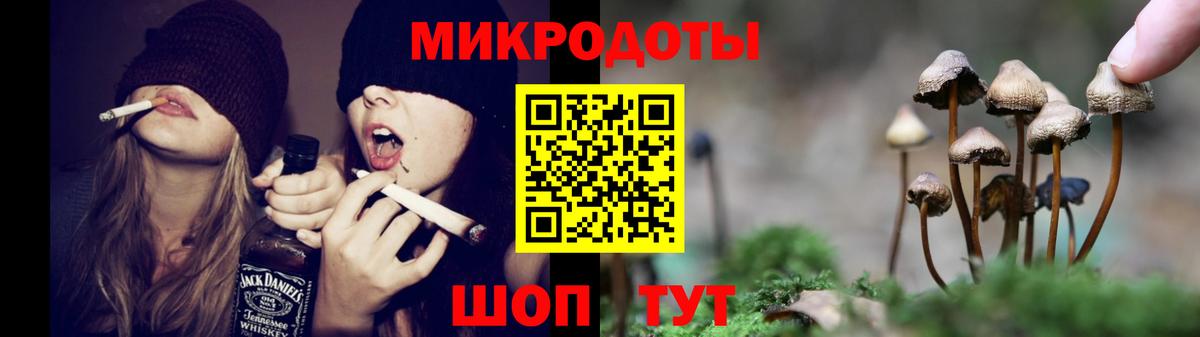 Галлюциногенные грибы Psilocybine cubensis  Вход с VPN  Приморско-Ахтарск 